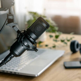 HEADSET & MIC
